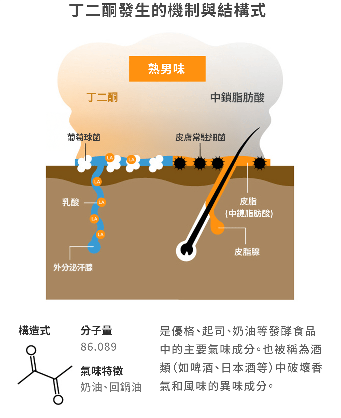 丁二酮發生的機制與結構式