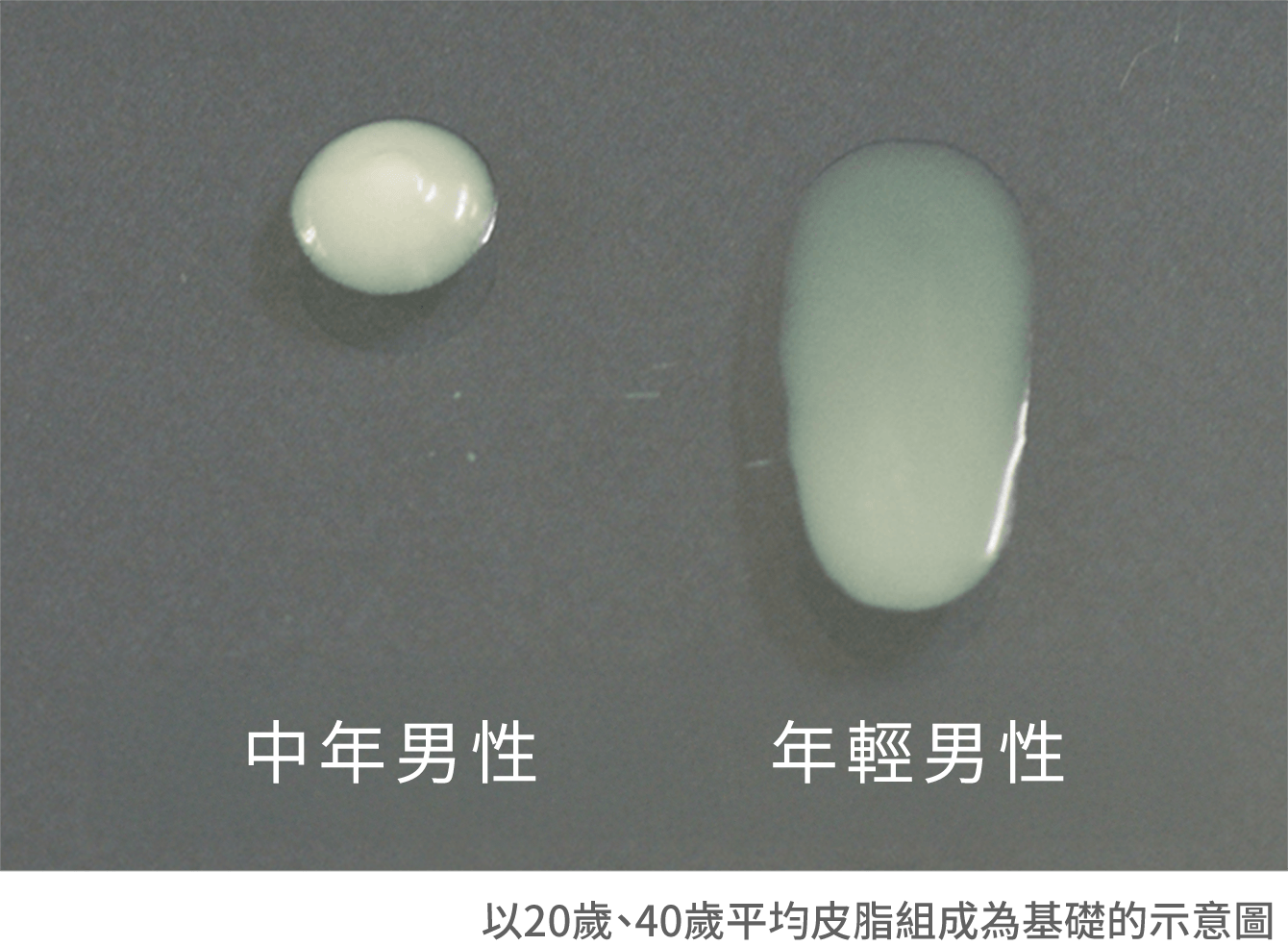 以20歲、40歲平均皮脂組成為基礎的示意圖