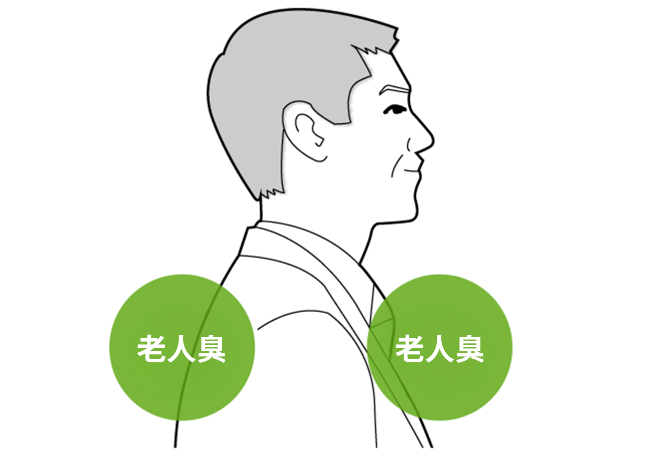 以20歲、40歲平均皮脂組成為基礎的示意圖